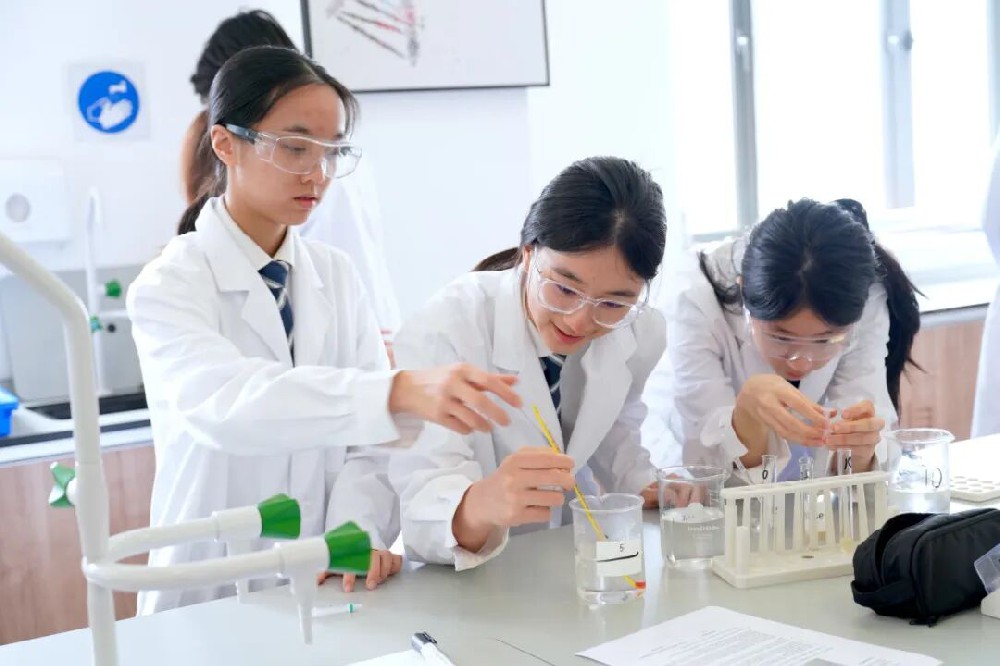 当AI能解万物，哈罗深圳科学课程教给学生是什么？